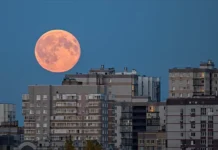 В Подмосковье запечатлели яркую Бобровую Луну во время суперлуния v podmoskove zapechatleli yarkuyu bobrovuyu lunu vo vremya superluniya-obzone-su-0
