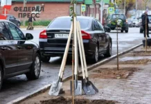 В Рязани пройдет месячник озеленения с единым днем и сквером трудовой доблести v ryazani projdet mesyachnik ozeleneniya s edinym dnem i skverom trudovoj doblesti-obzone-su-0