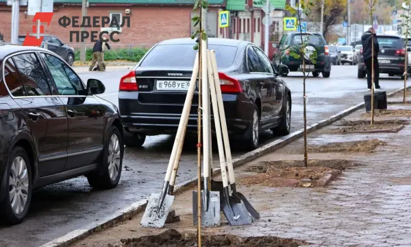 В Рязани пройдет месячник озеленения с единым днем и сквером трудовой доблести-0