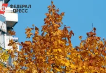 В Рязани волонтеры ЛизаАлерт мобилизуют усилия для поиска Лидии Зачесовой v ryazani volontery lizaalert mobilizuyut usiliya dlya poiska lidii zachesovoj-obzone-su-0