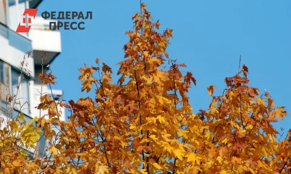 В Рязани волонтеры ЛизаАлерт мобилизуют усилия для поиска Лидии Зачесовой-0