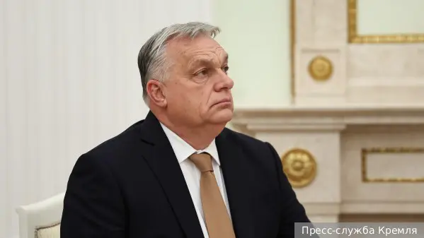 Стало известно, чем Орбан отобедал в ресторане после переговоров с Путиным 