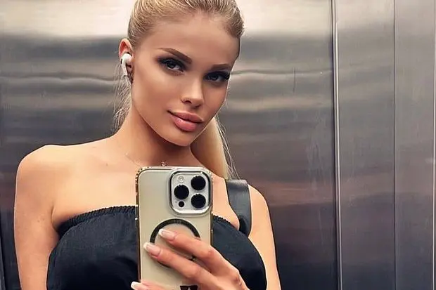 Вводная картинка