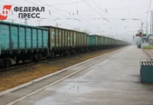 Число предприятий Кировской области удвоилось, экспорт динамично растет chislo predpriyatij kirovskoj oblasti udvoilos eksport dinamichno rastet-obzone-su-0