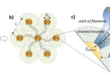 Дмитрий Иванов и коллеги из МГУ имени М.В. Ломоносова создают биополимеры для медицины dmitrij ivanov i kollegi iz mgu imeni mv lomonosova sozdayut biopolimery dlya medicziny-obzone-su-0