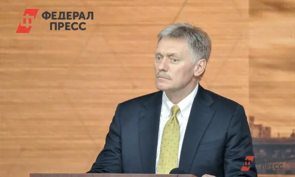 Дмитрий Песков о приоритетах поддержки бизнеса и налоговой службы России-0