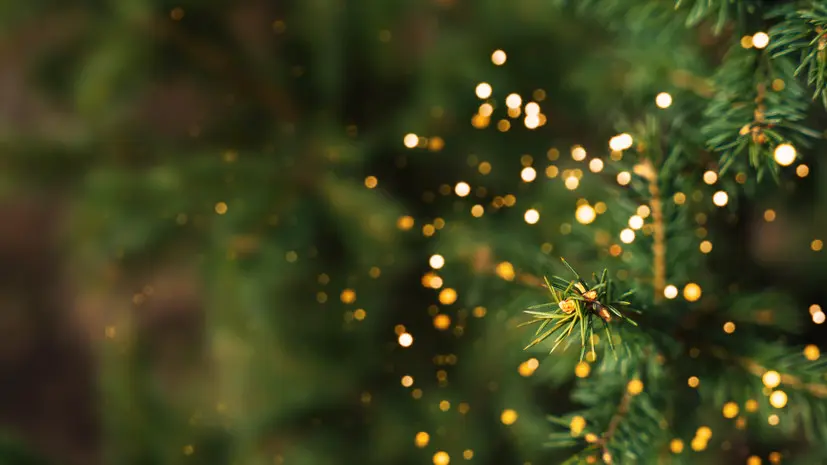 Пульмонолог Пятикова: искусственные ели могут быть вредны для здоровья