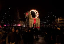 Евльский козел в Швеции подвергается изменению традиций из-за урагана Йоханнес и галок evlskij kozel v shveczii podvergaetsya izmeneniyu tradiczij izza uragana johannes i galok-obzone-su-0