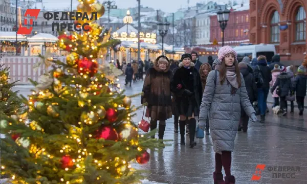 Где купить живые ёлки и сосны в Пензе, а также их стоимость к Новому Году-0