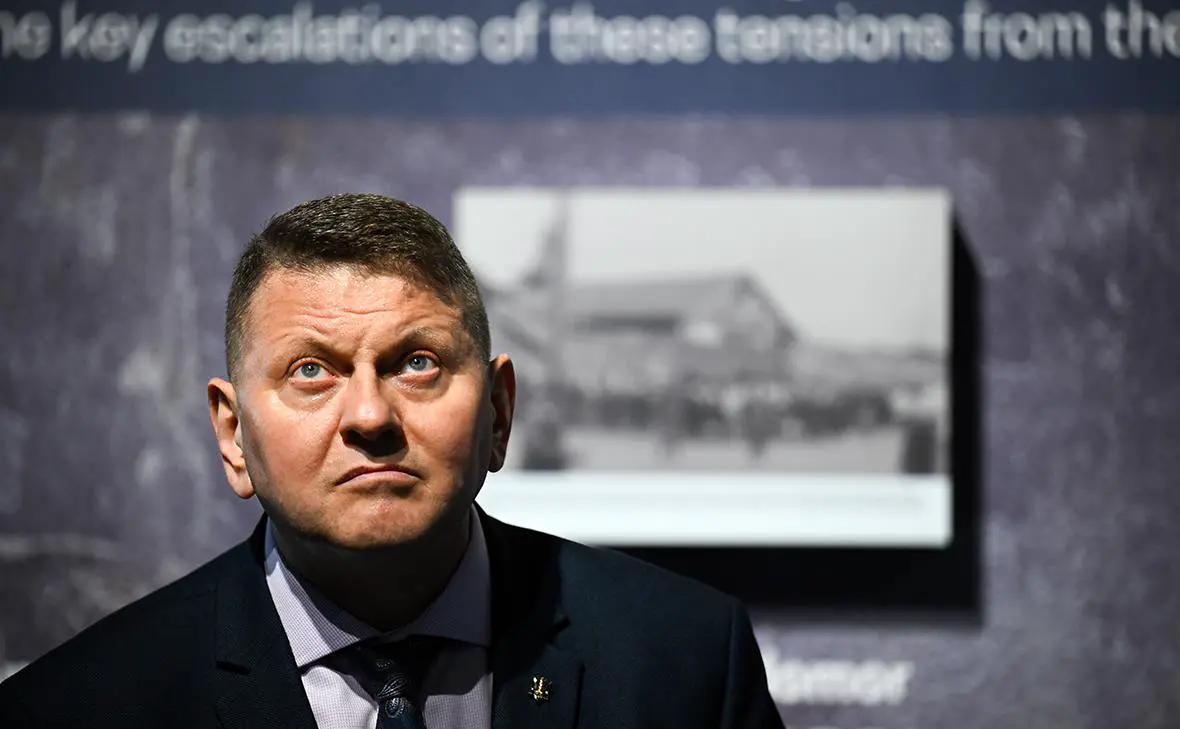 Валерий Залужный (Finnbarr Webster / Getty Images)