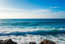 Гигантский ихтиозавр из Лилстока вызывает восторг у палеонтологов Великобритании gigantskij ihtiozavr iz lilstoka vyzyvaet vostorg u paleontologov velikobritanii-obzone-su-0