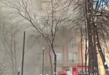 МЧС оперативно устраняет пожары в Новосибирске, Кашире и на МКАД, минимизируя последствия mchs operativno ustranyaet pozhary v novosibirske kashire i na mkad minimiziruya posledstviya-obzone-su-0