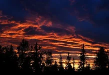 Надежда на спасение семьи Усольцевых в Красноярском крае России nadezhda na spasenie semi usolczevyh v krasnoyarskom krae rossii-obzone-su-0