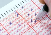 Ольга Соснина и Игорь Балынин рассказывают о помощи Яндекса с налогами на выигрыши olga sosnina i igor balynin rasskazyvayut o pomoshhi yandeksa s nalogami na vyigryshi-obzone-su-0