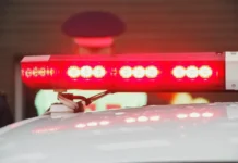 Оперативное реагирование УМВД Приморья во Владивостоке с участием Toyota Prius и пешехода operativnoe reagirovanie umvd primorya vo vladivostoke s uchastiem i peshehoda-obzone-su-0