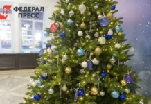 Павел Малков присоединился к акции «Елка желаний» по инициативе Путина pavel malkov prisoedinilsya k akczii elka zhelanij po inicziative putina-obzone-su-0