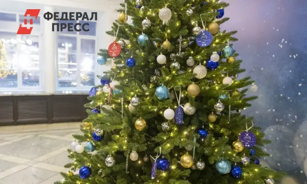 Павел Малков присоединился к акции «Елка желаний» по инициативе Путина-0