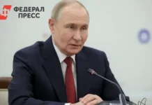 Путин и ЕАЭС отметили позитивные сдвиги с Индией и Индонезией после встречи в Петербурге putin i eaes otmetili pozitivnye sdvigi s indiej i indoneziej posle vstrechi v peterburge-obzone-su-0