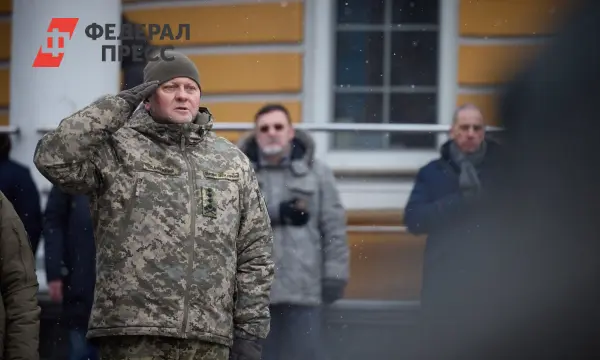 Реакция РФ на слова Залужного о спонсорстве НАТО ядерного блефа Украины-0