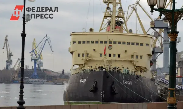 Россия направила весь атомный ледокольный флот в Арктику, западные аналитики в затруднении-0