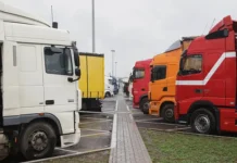 Рынок автомобилей из Грузии в Россию показывает рекордные темпы роста rynok avtomobilej iz gruzii v rossiyu pokazyvaet rekordnye tempy rosta-obzone-su-0