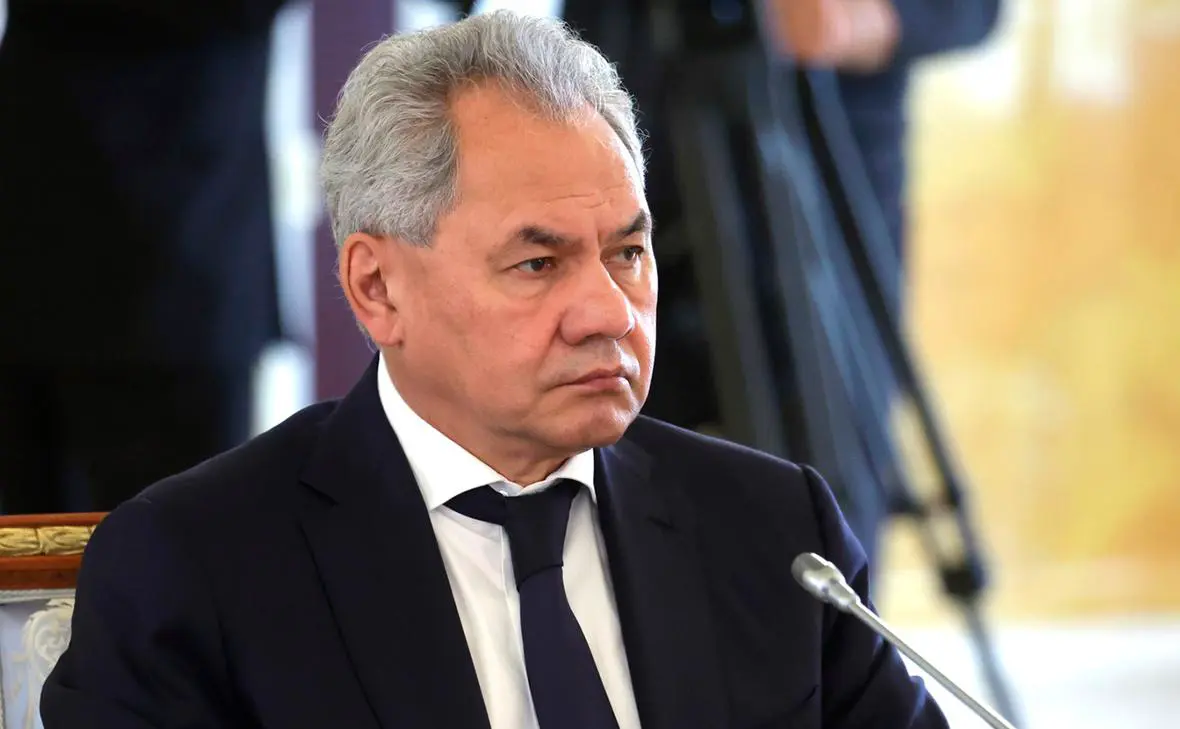 Сергей Шойгу (Global Look Press )