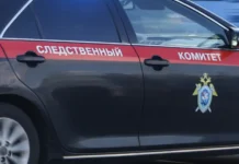 Следственный комитет России раскрыл дело об убийстве 14 военнопленных в Украине sledstvennyj komitet rossii raskryl delo ob ubijstve 14 voennoplennyh v ukraine-obzone-su-0