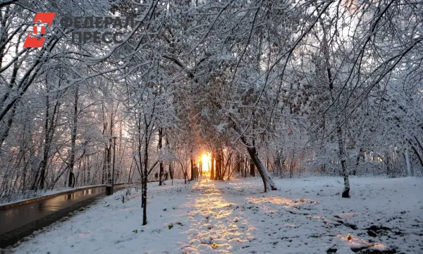 В Приморье и Владивостоке ожидается долгожданное потепление на выходных-0