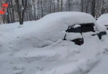 Владимир Солодов усилил контроль за снегоуборкой в Петропавловске-Камчатском vladimir solodov usilil kontrol za snegouborkoj v petropavlovskekamchatskom-obzone-su-0