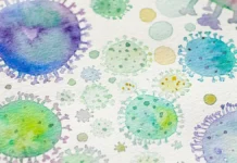 ВОЗ сообщает о сохранении симптомов COVID-19 у шести процентов людей и активности гриппа А voz soobshhaet o sohranenii simptomov 19 u shesti proczentov lyudej i aktivnosti grippa a-obzone-su-0