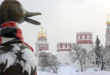 Александр Шувалов из «Метео» рассказал о морозах в Москве aleksandr shuvalov iz meteo rasskazal o morozah v moskve-obzone-su-0