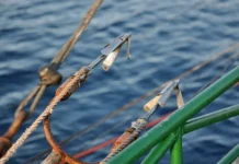 Чарли Роу из Новой Зеландии и невероятный рекорд IGFA по меч-рыбе charli rou iz novoj zelandii i neveroyatnyj rekord po mechrybe-obzone-su-0