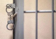 Дело Батыровой и Капли СК расследует в Красноярске delo batyrovoj i kapli sk rassleduet v krasnoyarske-obzone-su-0