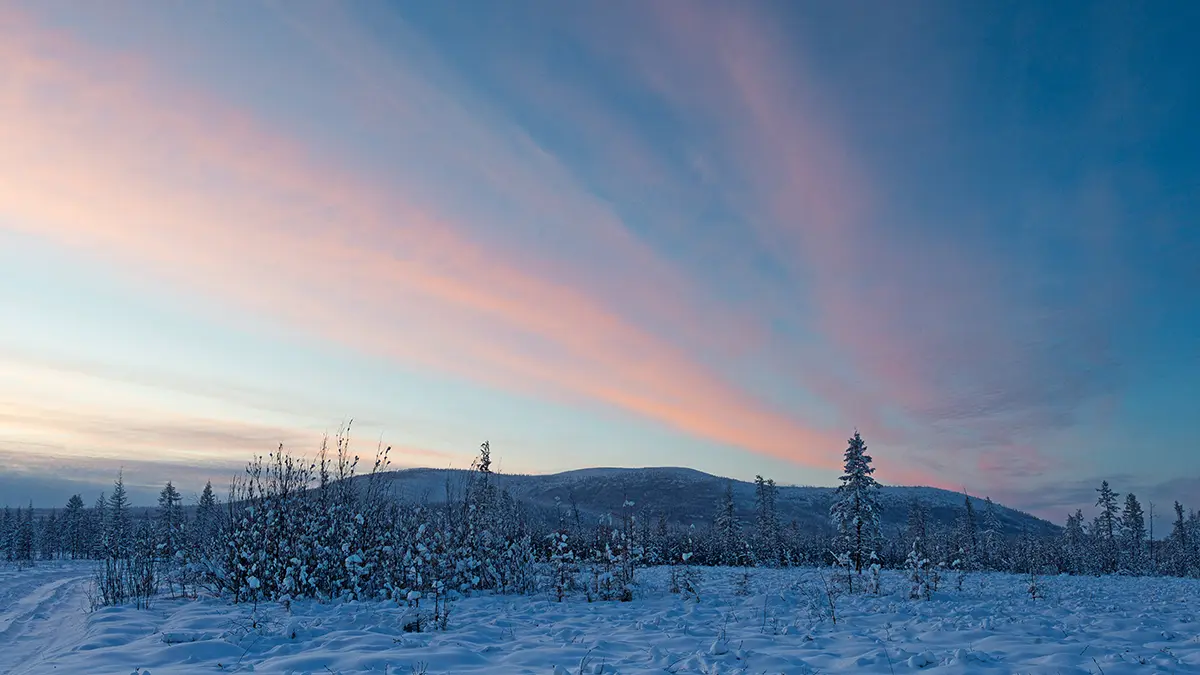 Тело пожилой женщины с деменцией, пропавшей в Якутии, нашли спустя три недели