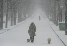 Эксперт Центра погоды «Фобос» предупреждает о резком ухудшении погоды в Москве и области из-за погодных катаклизмов ekspert czentra pogody fobos preduprezhdaet o rezkom uhudshenii pogody v moskve i oblasti izza pogodnyh kataklizmov-obzone-su-0