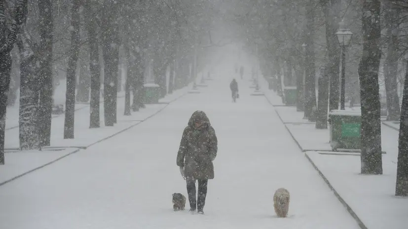 Синоптик Леус спрогнозировал метели в Москве и Подмосковье