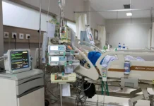 ioannis vidiniotis i aristea kazancziduistoriya muzhestva i podderzhki-obzone-su-0