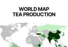 Китай, Индия, Кения, Турция и Россия являются мировыми лидерами по чаю kitaj indiya keniya turcziya i rossiya yavlyayutsya mirovymi liderami po chayu-obzone-su-0