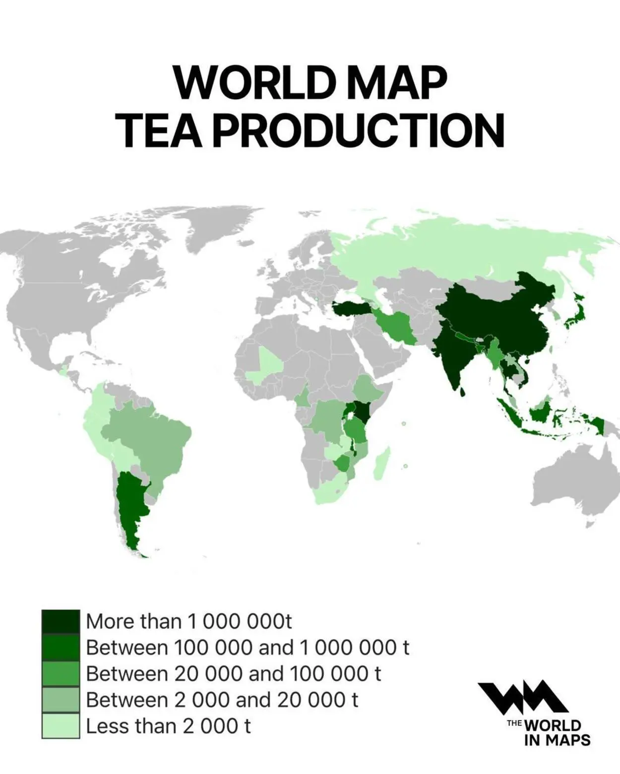 Китай, Индия, Кения, Турция и Россия являются мировыми лидерами по чаю-0