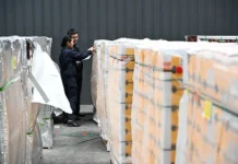 Контрабанда оленьих пенисов в Китай через Гонконг-Чжухай-Макао kontrabanda olenih penisov v kitaj cherez gonkongchzhuhajmakao-obzone-su-0