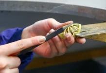 Марианна Абравитова. РАС открывает карьерные перспективы для аутистов marianna abravitova ras otkryvaet karernye perspektivy dlya autistov-obzone-su-0