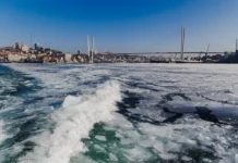 МЧС Приморья проверяет сообщения о трех машинах под льдом в районе Тавричанки mchs primorya proveryaet soobshheniya o treh mashinah pod ldom v rajone tavrichanki-obzone-su-0