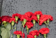 Николай Свечников ушел из жизни: память героя Босфора и Турции nikolaj svechnikov ushel iz zhizni pamyat geroya bosfora i turczii-obzone-su-0