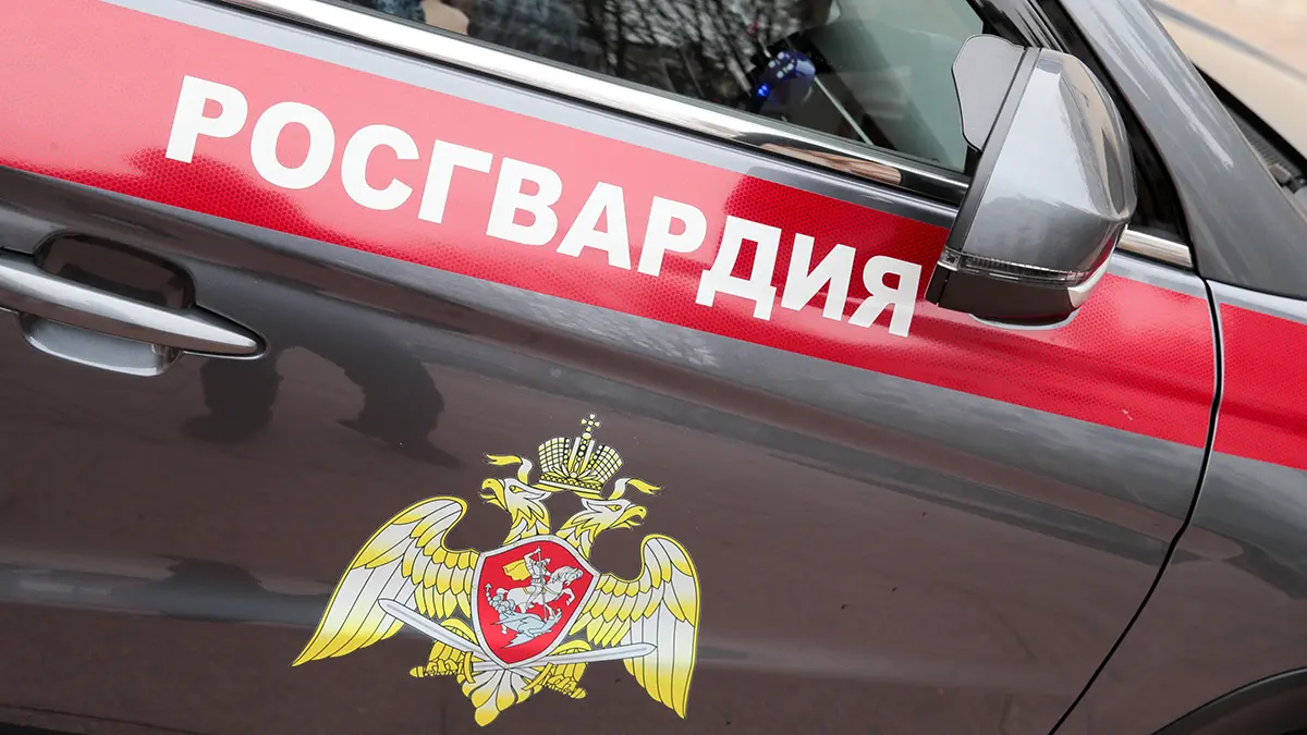 Мужчина попался силовикам при обмане кассы самообслуживания в Подмосковье