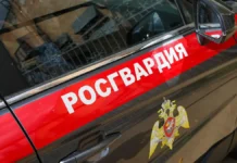 rosgvardiya v kolomne i zelenograde zaderzhala pohititelej masla shashlyka-obzone-su-0