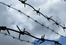 sk i sud zaderzhali na varshavskom shosse ubijczu v moskve-obzone-su-0