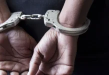 В Ленобласти задержали украинца за дачу взятки таможеннику v lenoblasti zaderzhali ukraincza za dachu vzyatki tamozhenniku-obzone-su-0