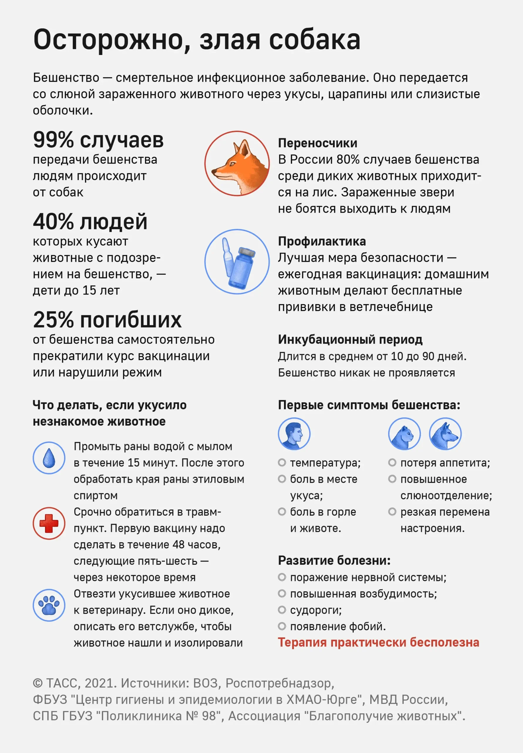 Бешенство: симптомы и помощь