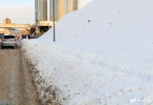 Во Владивостоке январский снегопад оказался необычным, согласно Примгидромету vo vladivostoke yanvarskij snegopad okazalsya neobychnym soglasno primgidrometu-obzone-su-0