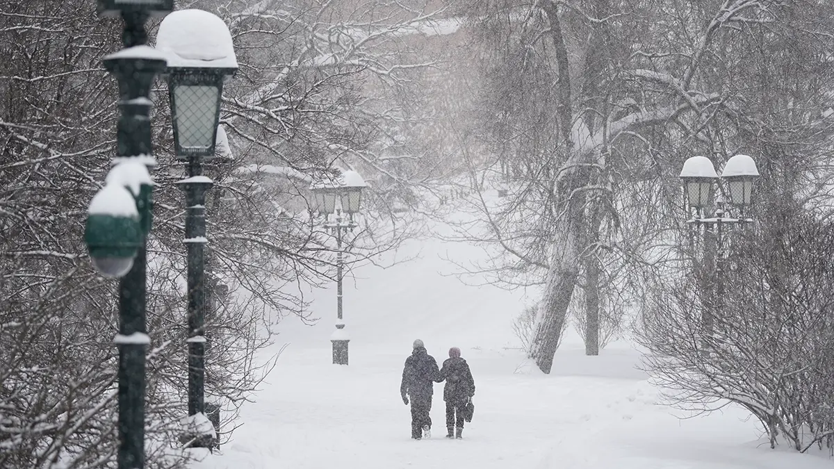 Погода в Москве 3 февраля 2026 года